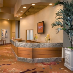 Tropicana Las Vegas - a DoubleTree by Hilton Hotel интерьер отеля фото 3