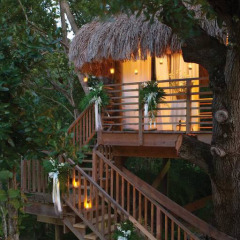 Отель Couples Negril All Inclusive фото 17