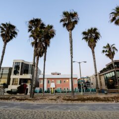 Отель Venice on the Beach Hotel США, Лос-Анджелес - отзывы, цены и фото номеров - забронировать отель Venice on the Beach Hotel онлайн с домашними животными