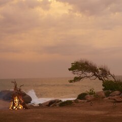 Отель Wild Coast Tented Lodge - All Inclusive Шри-Ланка, Тиссамахарама - отзывы, цены и фото номеров - забронировать отель Wild Coast Tented Lodge - All Inclusive онлайн пляж фото 2