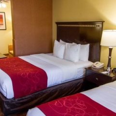 Comfort Suites Phoenix Airport in Tempe, United States of America from 139$, photos, reviews - zenhotels.com room amenities