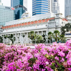 The Fullerton Hotel Singapore фото 6