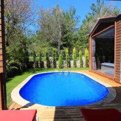 Villa Terra Pine Турция, Кесилер - отзывы, цены и фото номеров - забронировать отель Villa Terra Pine онлайн бассейн фото 3