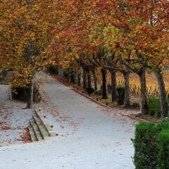 The Wine House Hotel - Quinta da Pacheca