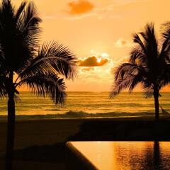 Отель Las Palmas Beachfront Villas Мексика, Коакоюл - отзывы, цены и фото номеров - забронировать отель Las Palmas Beachfront Villas онлайн пляж фото 2