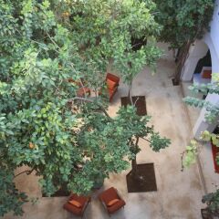 Отель Riad Dar Sara Марокко, Марракеш - отзывы, цены и фото номеров - забронировать отель Riad Dar Sara онлайн фото 2