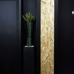 Отель MOSC Guesthouse интерьер отеля фото 3