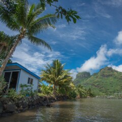Отель Bora Bora Bungalove Французская Полинезия, Бора-Бора - отзывы, цены и фото номеров - забронировать отель Bora Bora Bungalove онлайн фото 21