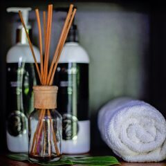 Отель Barrier Beach Resort Вануату, Сараотоу - отзывы, цены и фото номеров - забронировать отель Barrier Beach Resort онлайн в номере фото 2