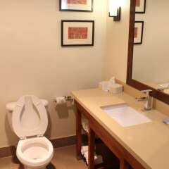 Отель Comfort Suites Longview North США, Лонгвью - отзывы, цены и фото номеров - забронировать отель Comfort Suites Longview North онлайн ванная
