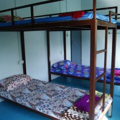 Отель Eden Hostel Таиланд, Пхукет - отзывы, цены и фото номеров - забронировать отель Eden Hostel онлайн комната для гостей фото 4