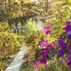 Отель Pine Hill Homes Dalat Далат фото 5