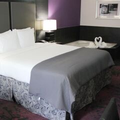 Holiday Inn Express Hotel & Suites Columbus - Polaris Parkway 3* Стандартный номер