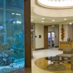 Отель Hampton Inn Washington DC - Convention Center США, Вашингтон - отзывы, цены и фото номеров - забронировать отель Hampton Inn Washington DC - Convention Center онлайн спа