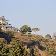 Отель Toji Stay HIROMIYA Япония, Беппу - отзывы, цены и фото номеров - забронировать отель Toji Stay HIROMIYA онлайн приотельная территория