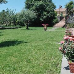 Отель Viscalori House Виагранде фото 3