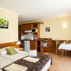 Отель Holiday Club Apartman Hotel Венгрия, Хевиз - отзывы, цены и фото номеров - забронировать отель Holiday Club Apartman Hotel онлайн комната для гостей фото 3