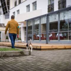 Отель Palangos Vetra Литва, Паланга - отзывы, цены и фото номеров - забронировать отель Palangos Vetra онлайн фитнесс-зал фото 3