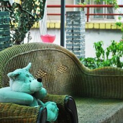 Chengdu ChinChin Hostel с домашними животными