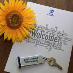 Best Western Hotel Heidehof удобства в номере фото 2