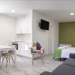 Отель Apartamentos Aldagaia Испания, Эрнани - отзывы, цены и фото номеров - забронировать отель Apartamentos Aldagaia онлайн комната для гостей фото 5