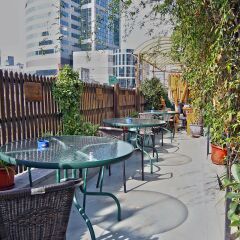 Отель The Phoenix Hostel Shanghai Китай, Шанхай - отзывы, цены и фото номеров - забронировать отель The Phoenix Hostel Shanghai онлайн