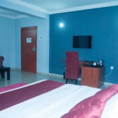 Отель Dannic Hotels Enugu удобства в номере