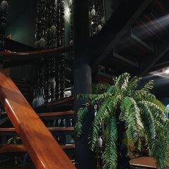 Отель OYO Mystery Hostel Таиланд, Бангкок - отзывы, цены и фото номеров - забронировать отель OYO Mystery Hostel онлайн фото 3