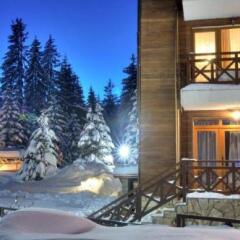 Отель Mountain Lake Hotel Болгария, Чепеларе - отзывы, цены и фото номеров - забронировать отель Mountain Lake Hotel онлайн фото 7