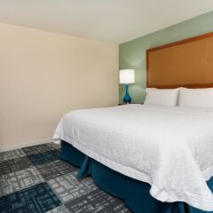 Hampton Inn Norcross in Norcross, United States of America from 145$, photos, reviews - zenhotels.com guestroom photo 2