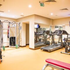 Grand Aras Hotel & Suites Турция, Стамбул - отзывы, цены и фото номеров - забронировать отель Grand Aras Hotel & Suites онлайн фитнесс-зал фото 3