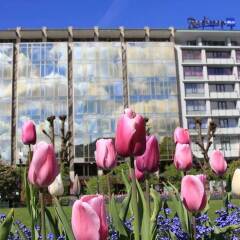 Hotel Norge by Scandic пляж