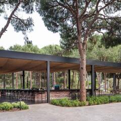 Voyage Belek Golf & Spa Турция, Белек - 9 отзывов об отеле, цены и фото номеров - забронировать отель Voyage Belek Golf & Spa - All Inclusive онлайн фото 5