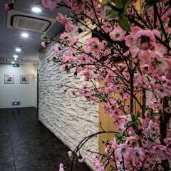 Hotel 81 Sakura интерьер отеля фото 2