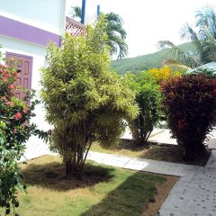 Friendship Garden Apartments in Bequia, St. Vincent and the Grenadines from 96$, photos, reviews - zenhotels.com photo 3
