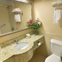 Отель Airway Inn США, Нью-Йорк - отзывы, цены и фото номеров - забронировать отель Airway Inn онлайн ванная
