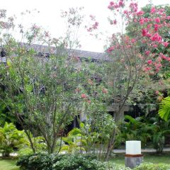Отель Seashell Resort Koh Tao Таиланд, Остров Тау - 1 отзыв об отеле, цены и фото номеров - забронировать отель Seashell Resort Koh Tao онлайн фото 9