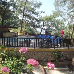 Symbola Oludeniz Beach Hotel детские мероприятия