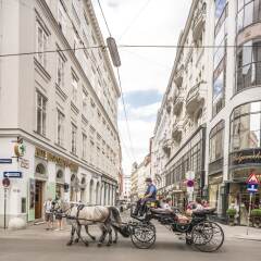 Отель Senator Suite Stephansplatz by Welcome2Vienna Австрия, Вена - отзывы, цены и фото номеров - забронировать отель Senator Suite Stephansplatz by Welcome2Vienna онлайн фото 3