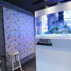 HOTEL THE HOTEL Shinjuku Kabukicho - Adult Only гостиничный бар
