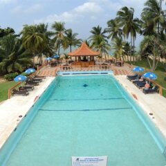 Отель Golden Star Beach Hotel Шри-Ланка, Негомбо - отзывы, цены и фото номеров - забронировать отель Golden Star Beach Hotel онлайн с домашними животными