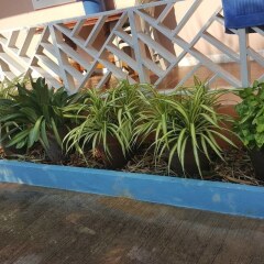Отель Lareena Resort Koh Larn Pattaya Таиланд, Ко-Лан - отзывы, цены и фото номеров - забронировать отель Lareena Resort Koh Larn Pattaya онлайн бассейн фото 3