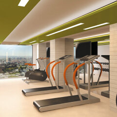 Holiday Inn Kayseri - Duvenonu Турция, Кайсери - отзывы, цены и фото номеров - забронировать отель Holiday Inn Kayseri - Duvenonu онлайн фитнесс-зал