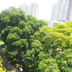 Отель Royal View Resort Rangnam Бангкок фото 5