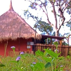 Отель Coco Cape Lanta Таиланд, Ланта - отзывы, цены и фото номеров - забронировать отель Coco Cape Lanta онлайн фото 10