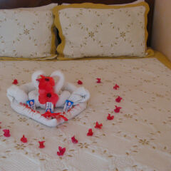 Отель Executive Shaw Park Guest House сейф в номере