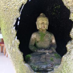 Отель Austrian Garden/Tai Pan Village с домашними животными