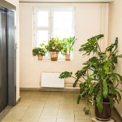 Апартаменты Apartment on Tekstilschiki интерьер отеля