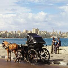 Four Seasons Hotel Alexandria at San Stefano спортивное сооружение