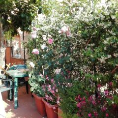 Отель B&b Al Giardino Di Alice Перуджа фото 18